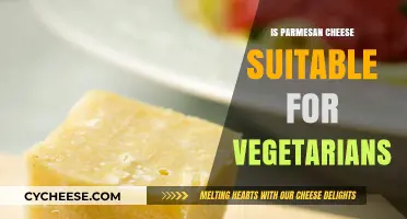 Parmesan Cheese: Friend or Foe for Vegetarians?
