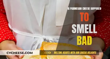 Why Does Parmesan Cheese Smell So Bad?