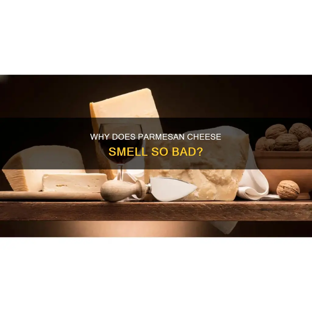 is parmesan cheese supposed to smell bad