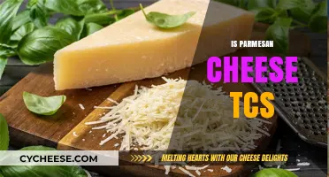 Is Parmesan Cheese TCS? Know the Facts