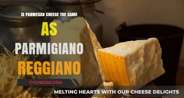 Parmesan Cheese vs. Parmigiano Reggiano: What's the Difference?