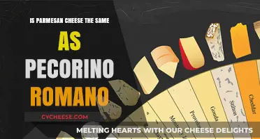 Parmesan vs Pecorino Romano: What's the Difference?