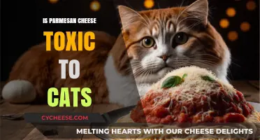 Can Cats Eat Parmesan Cheese?