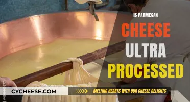 Parmesan Cheese: Ultra-Processed or Not?