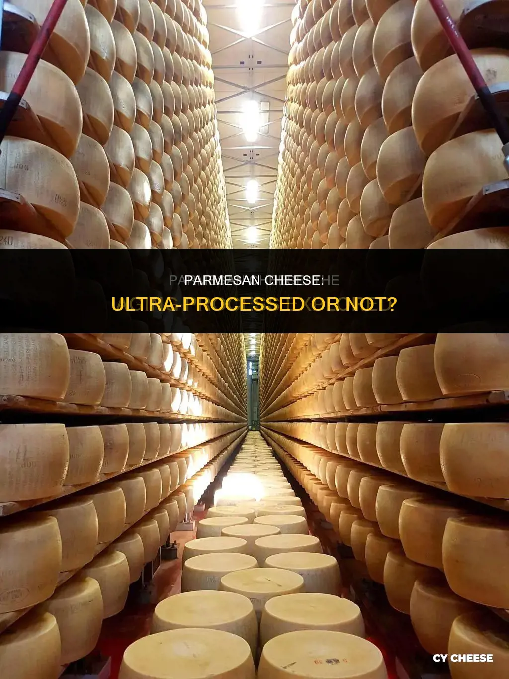 is parmesan cheese ultra processed