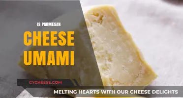 The Magic of Parmesan: Unlocking Umami