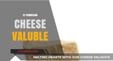 Parmesan Cheese: A Culinary Treasure or Expensive Dust?
