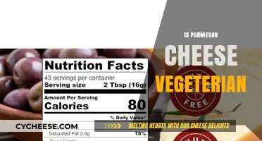 Parmesan Cheese: A Vegetarian-Friendly Option?