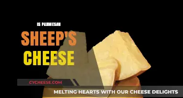 Sheep's Cheese and Parmesan: What's the Real Deal?