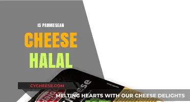 Parmesean Cheese: Halal or Haram?