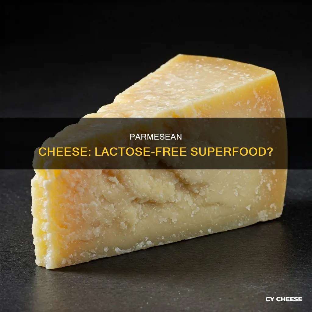 is parmesean cheese lactose free