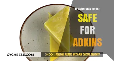 Parmesean Cheese and Adkins: What You Need to Know