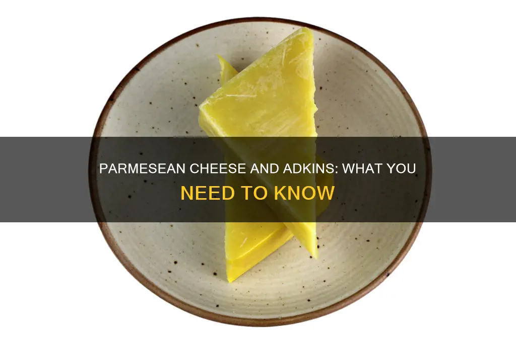 is parmesean cheese safe for adkins