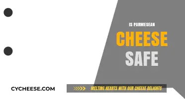 Parmesean Cheese: Safe or Not?