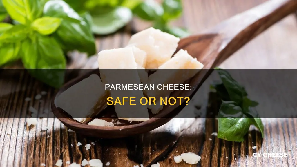 is parmesean cheese safe