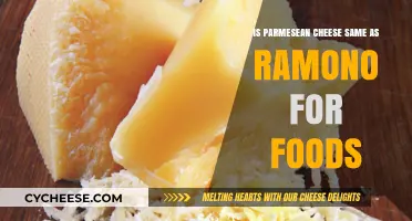 Parmesean vs Romano: What's the Difference?