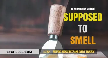 Uncover Parmesan Cheese's Pungent Aroma