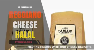 Is Parmigiano Reggiano Cheese Halal? Exploring Ingredients and Certification