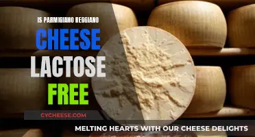 Parmigiano Reggiano Cheese: Lactose-Free Superfood?