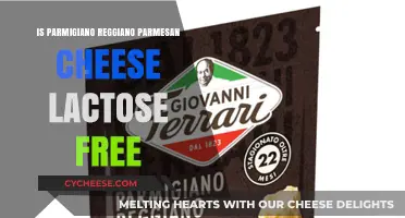 Parmigiano Reggiano: Is This Cheese Lactose-Free?