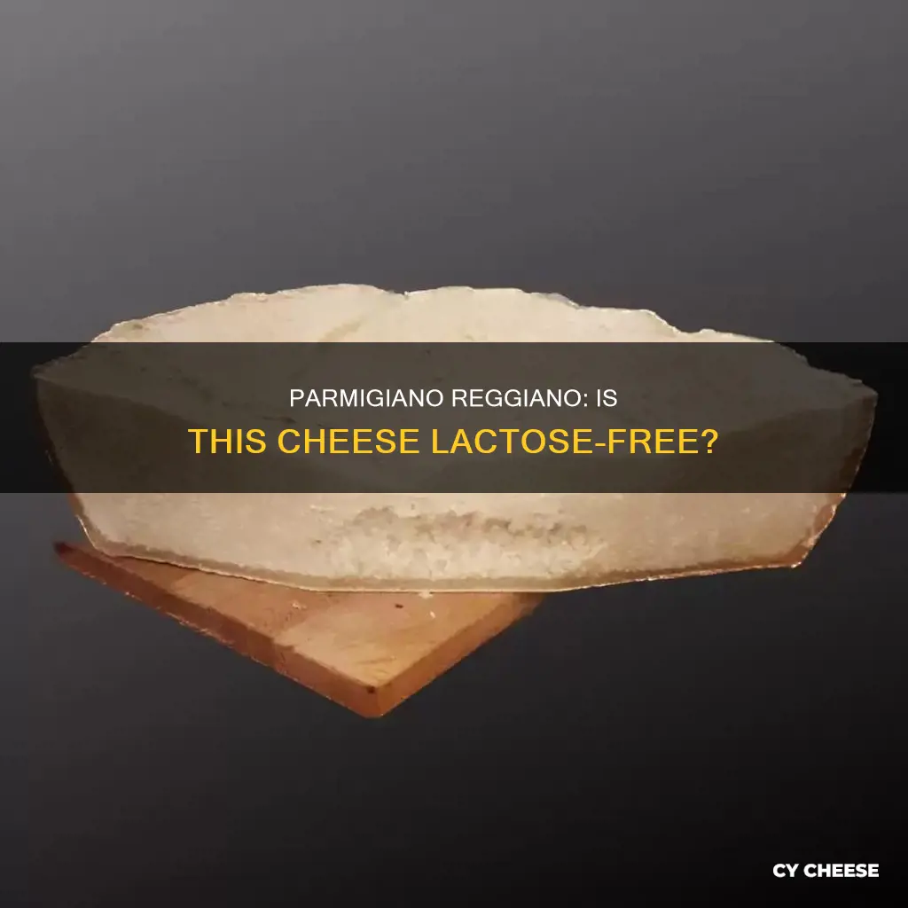 is parmigiano reggiano parmesan cheese lactose free