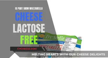 Is Part-Skim Mozzarella Cheese Lactose-Free?