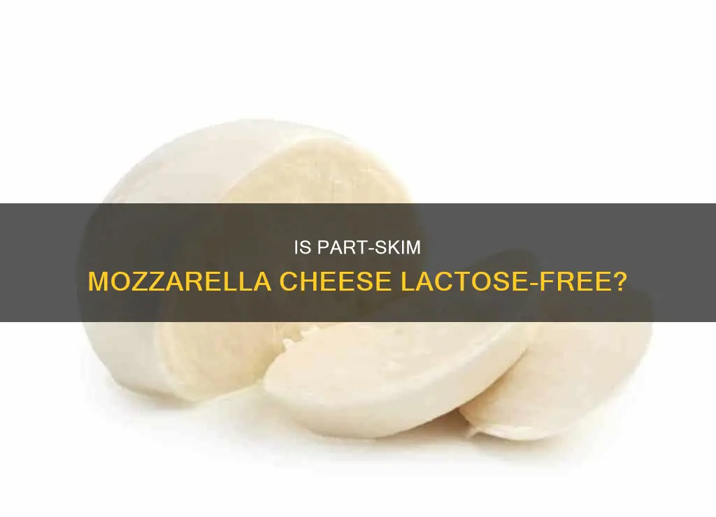 is part skim mozzarella cheese lactose free