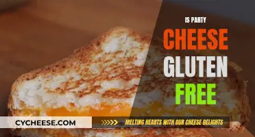 Gluten-Free Partying: Is Cheese Safe?