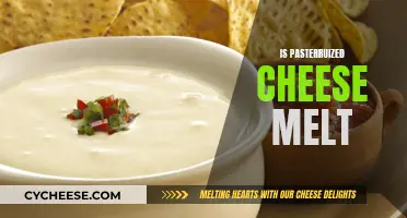 The Art of Melting: Pasteurized Cheese's Secret