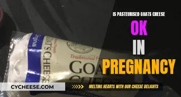 Goat's Cheese in Pregnancy: Is Pasteurization a Safe Choice?