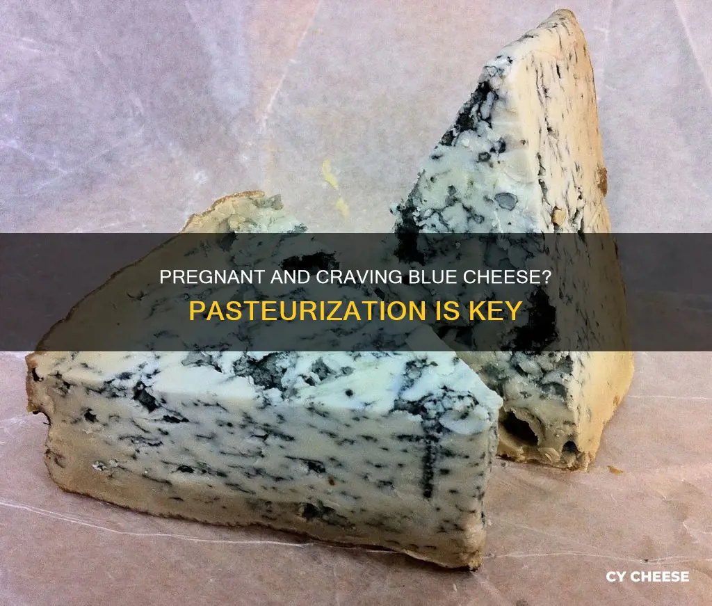 is pasteurized blue cheese ok when pregnant