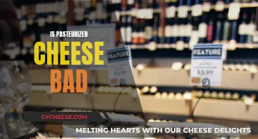The Truth About Pasteurized Cheese: Is It Healthy?