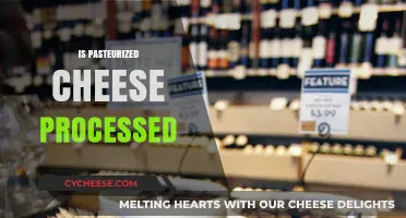 Is Pasteurized Cheese Processed? Unraveling the Truth Behind the Label