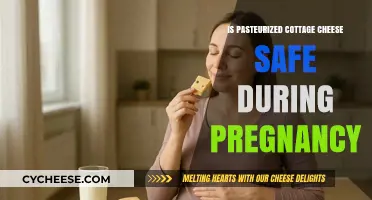 Is Pasteurized Cottage Cheese Safe During Pregnancy? Expert Insights