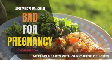 Feta Facts: Pasteurized Cheese Safe During Pregnancy?