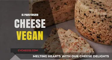 Is Pasteurized Cheese Vegan? Unraveling the Dairy-Free Dilemma