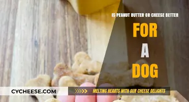 Peanut Butter vs. Cheese: Which Treat is Best for Your Dog?