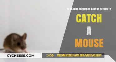 Peanut Butter vs. Cheese: Which Bait Works Best for Mouse Traps?