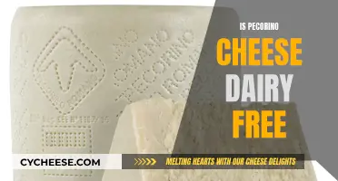 Pecorino Cheese: A Dairy Conundrum