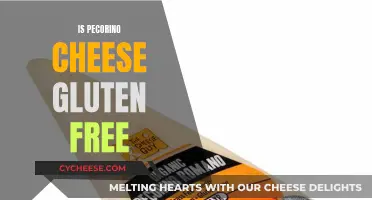 Pecorino Cheese: A Gluten-Free Option?