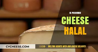Is Pecorino Cheese Halal? Exploring Ingredients and Religious Dietary Laws