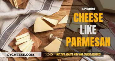 Pecorino and Parmesan: What's the Difference?