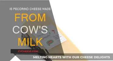 Unveiling the Truth: Pecorino's Milk Mystery