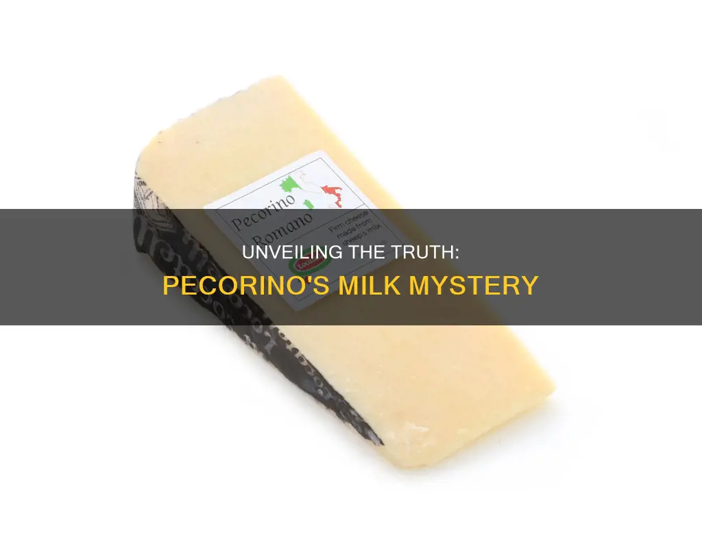 is pecorino cheese made from cow