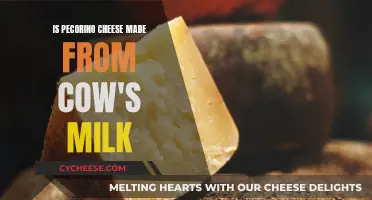Pecorino Cheese: A Sheep's Milk Delicacy Explained