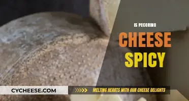 Is Pecorino Cheese Spicy? Exploring Its Flavor Profile and Heat Level