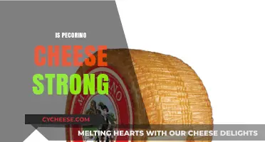 Is Pecorino Cheese Strong? Exploring Its Bold Flavor and Intensity