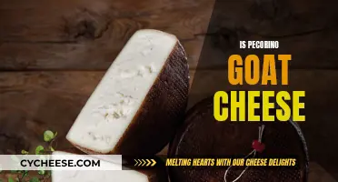 Exploring the Delicate Flavor of Pecorino: A Goat Cheese Adventure