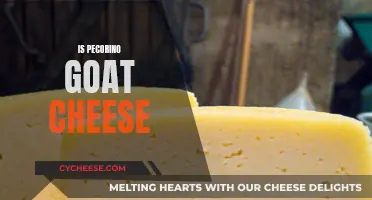 Goat or Sheep: Unraveling the Pecorino Cheese Mystery