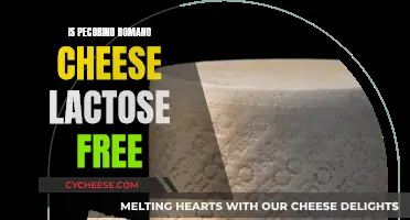 Romano Cheese: Lactose-Free Superfood?